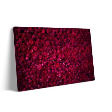 RED ROSES